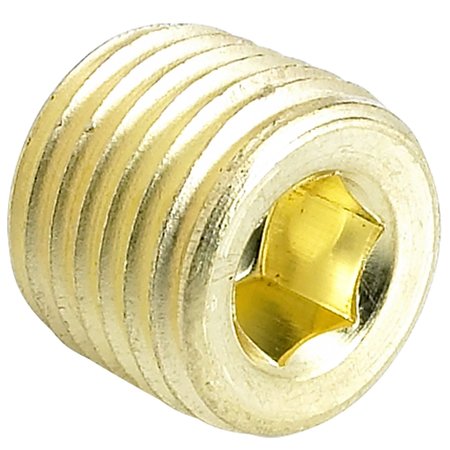 NEWPORT FASTENERS Socket Spoke Pipe Plug, 7/8 in Dia, Brass Plain, 100 PK 840922-100